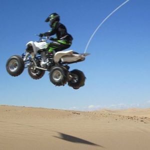 Meet your Posher, Tyson